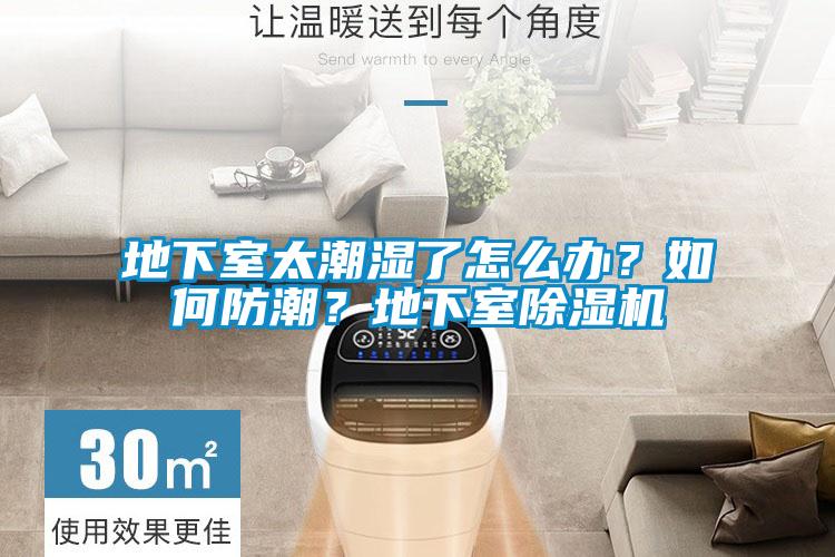 地下室太潮濕了怎么辦？如何防潮？地下室除濕機(jī)
