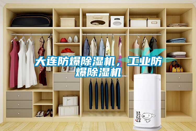 大連防爆除濕機，工業(yè)防爆除濕機