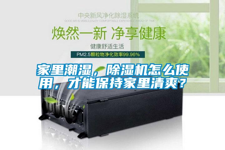 家里潮濕，除濕機(jī)怎么使用，才能保持家里清爽？