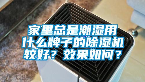 家里總是潮濕用什么牌子的除濕機較好？效果如何？