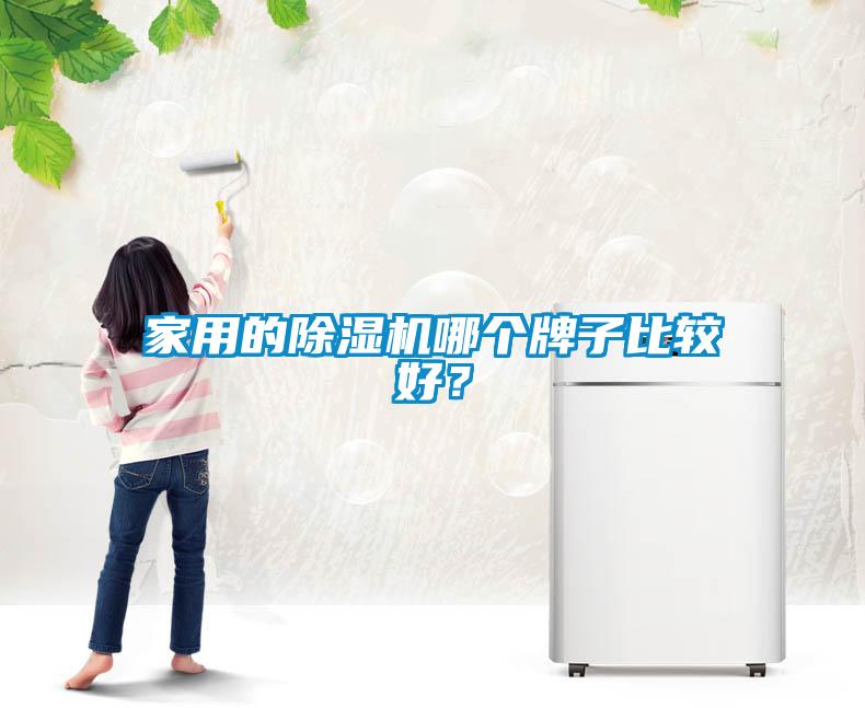 家用的除濕機(jī)哪個(gè)牌子比較好？