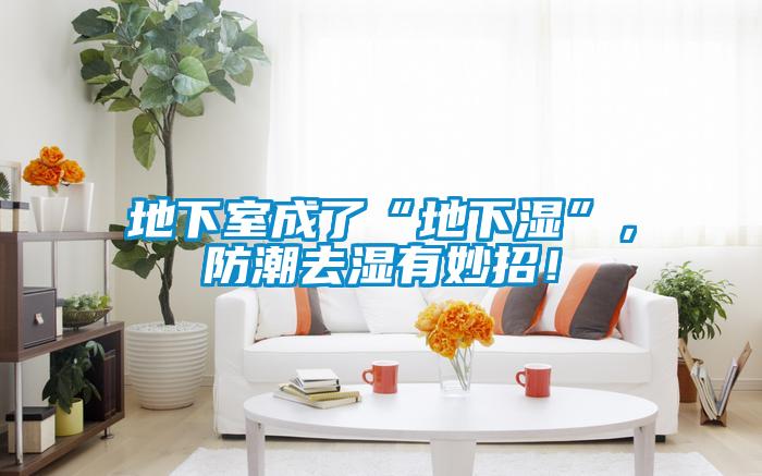 地下室成了“地下濕”，防潮去濕有妙招！