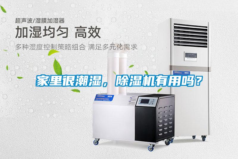 家里很潮濕，除濕機(jī)有用嗎？