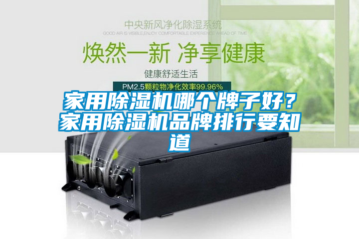 家用除濕機哪個牌子好？家用除濕機品牌排行要知道