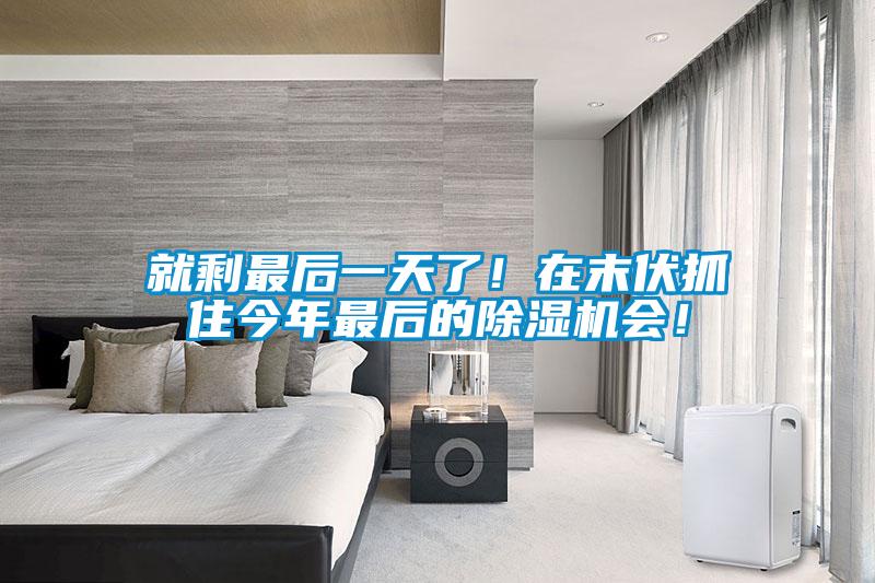 就剩最后一天了！在末伏抓住今年最后的除濕機會！