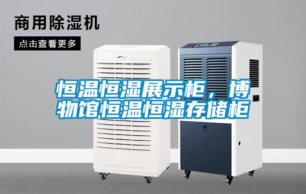 恒溫恒濕展示柜，博物館恒溫恒濕存儲(chǔ)柜