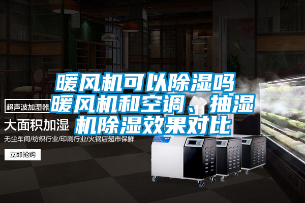 暖風(fēng)機(jī)可以除濕嗎 暖風(fēng)機(jī)和空調(diào)、抽濕機(jī)除濕效果對(duì)比