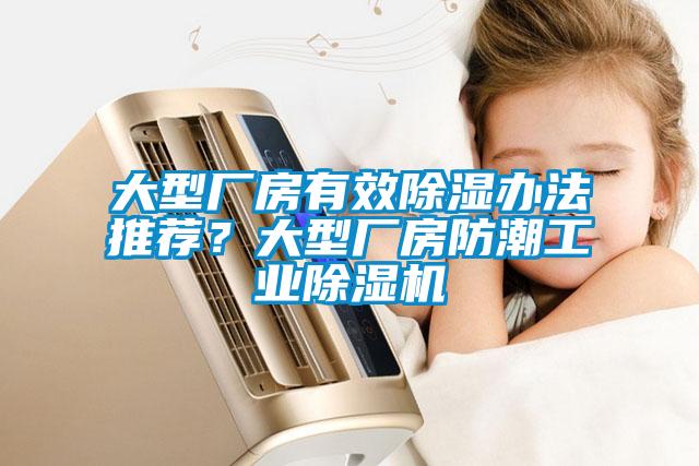 大型廠房有效除濕辦法推薦？大型廠房防潮工業(yè)除濕機(jī)