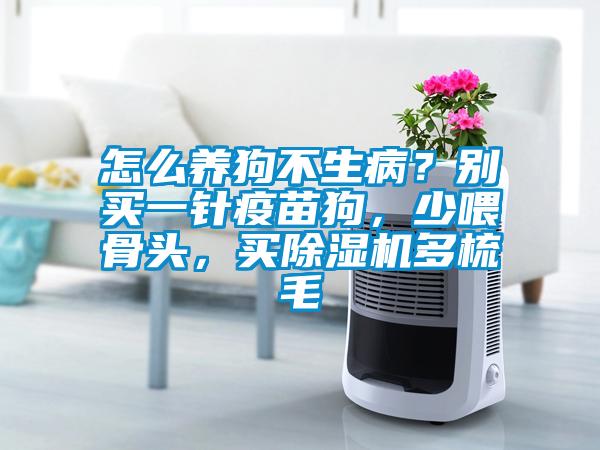 怎么養(yǎng)狗不生??？別買一針疫苗狗，少喂骨頭，買除濕機(jī)多梳毛