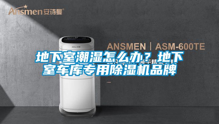 地下室潮濕怎么辦？地下室車庫(kù)專用除濕機(jī)品牌