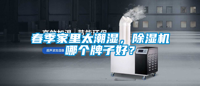 春季家里太潮濕，除濕機(jī)哪個(gè)牌子好？