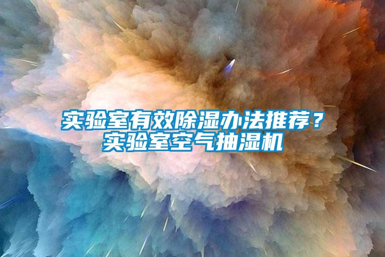 實(shí)驗(yàn)室有效除濕辦法推薦？實(shí)驗(yàn)室空氣抽濕機(jī)