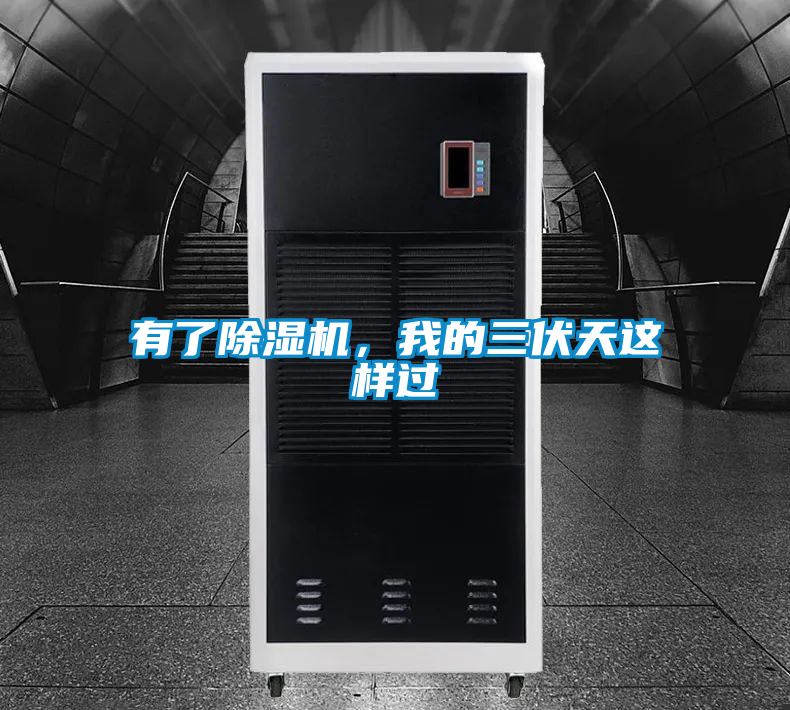 有了除濕機(jī)，我的三伏天這樣過
