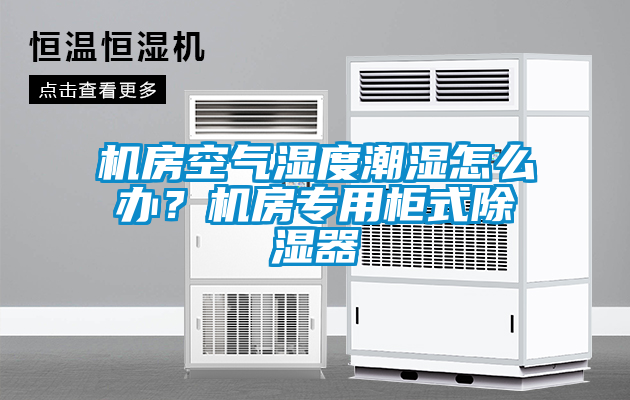 機(jī)房空氣濕度潮濕怎么辦？機(jī)房專用柜式除濕器