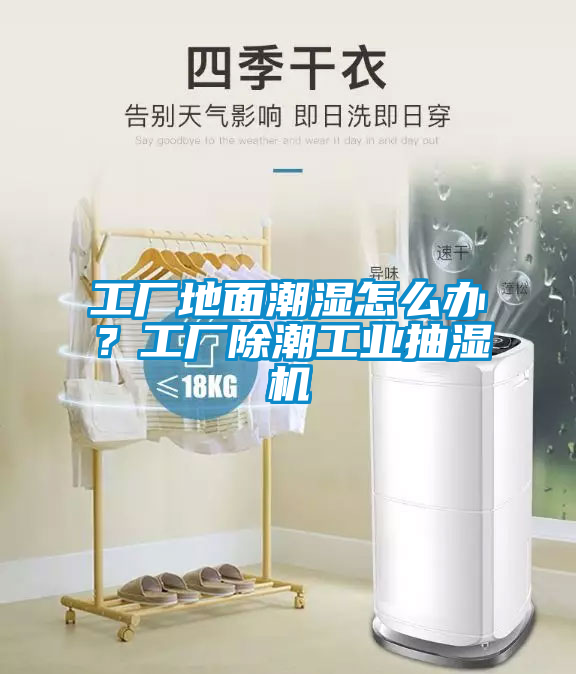 工廠地面潮濕怎么辦？工廠除潮工業(yè)抽濕機