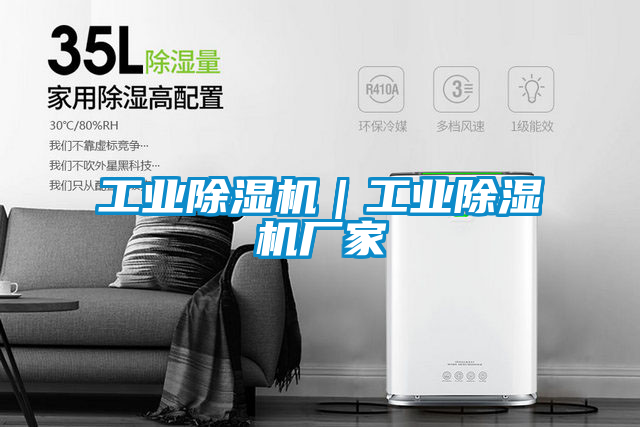 工業(yè)除濕機(jī)｜工業(yè)除濕機(jī)廠(chǎng)家