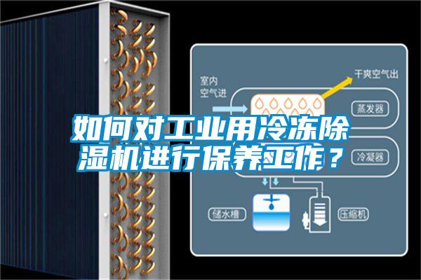 如何對工業(yè)用冷凍除濕機(jī)進(jìn)行保養(yǎng)工作？