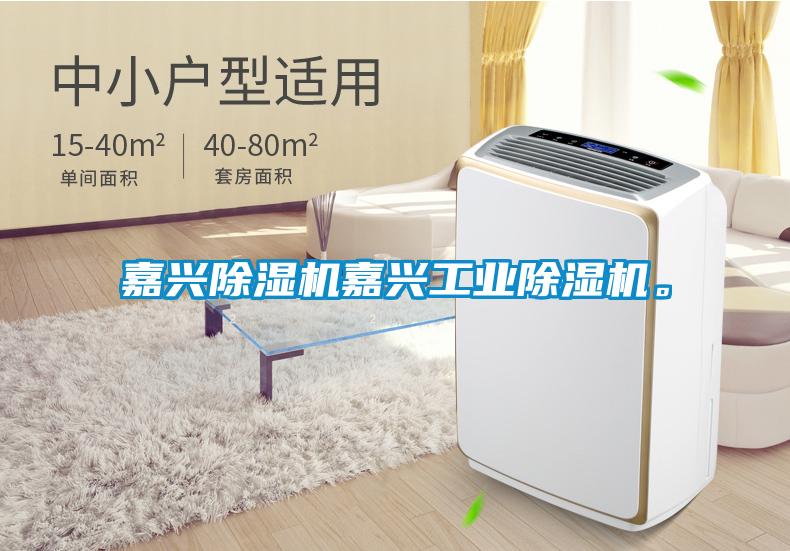 嘉興除濕機(jī)嘉興工業(yè)除濕機(jī)。