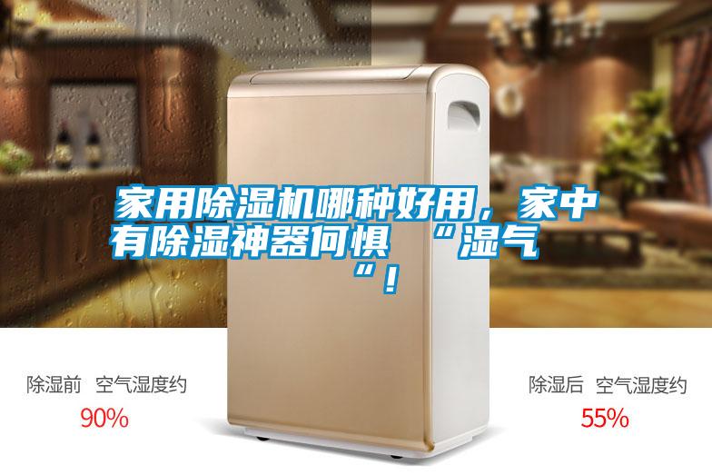 家用除濕機(jī)哪種好用，家中有除濕神器何懼 “濕氣 “！
