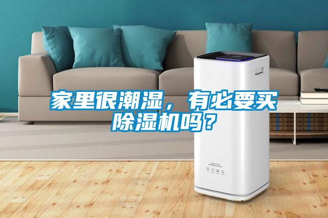 家里很潮濕，有必要買除濕機嗎？