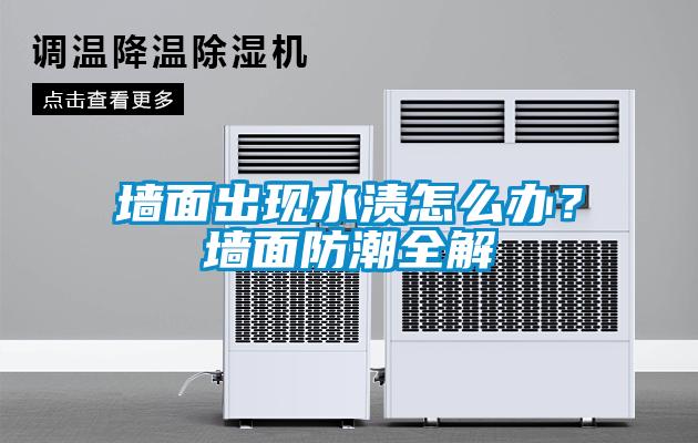 墻面出現(xiàn)水漬怎么辦？墻面防潮全解