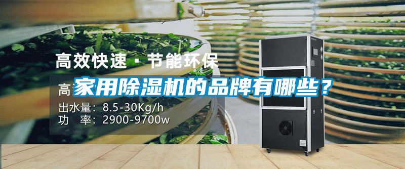 家用除濕機的品牌有哪些？
