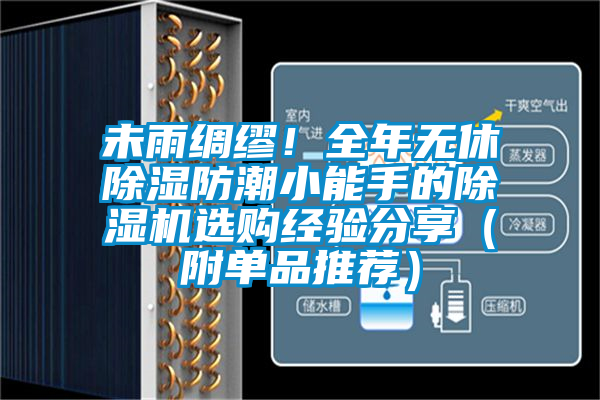 未雨綢繆！全年無(wú)休除濕防潮小能手的除濕機(jī)選購(gòu)經(jīng)驗(yàn)分享（附單品推薦）