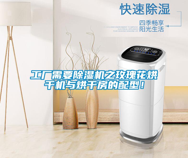 工廠需要除濕機(jī)之玫瑰花烘干機(jī)與烘干房的配型！
