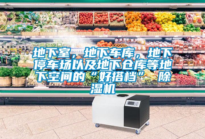 地下室，地下車庫，地下停車場以及地下倉庫等地下空間的“好搭檔” 除濕機(jī)