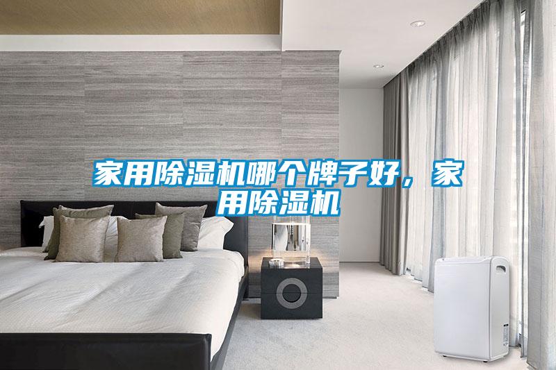 家用除濕機哪個牌子好，家用除濕機