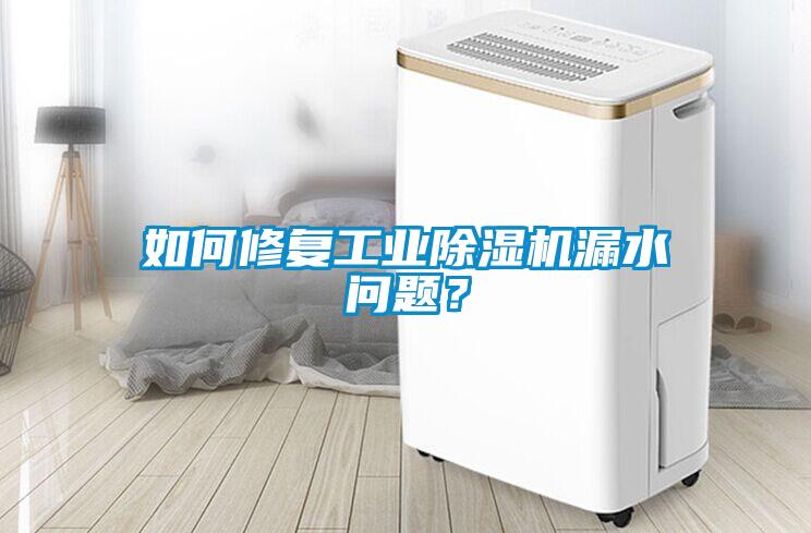 如何修復(fù)工業(yè)除濕機(jī)漏水問題？