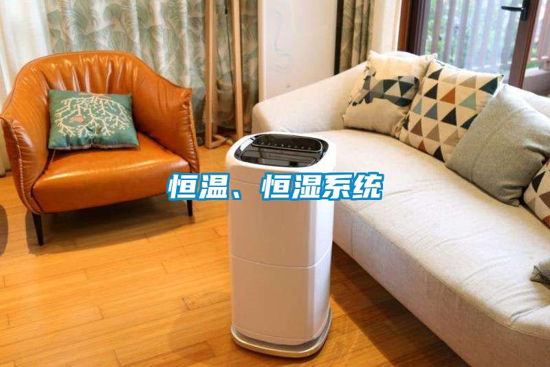 恒溫、恒濕系統(tǒng)