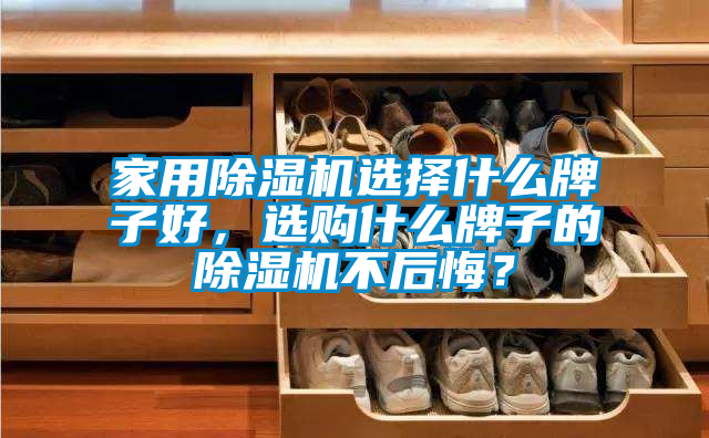 家用除濕機(jī)選擇什么牌子好，選購什么牌子的除濕機(jī)不后悔？