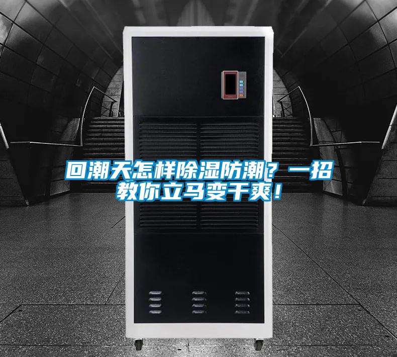 回潮天怎樣除濕防潮？一招教你立馬變干爽！