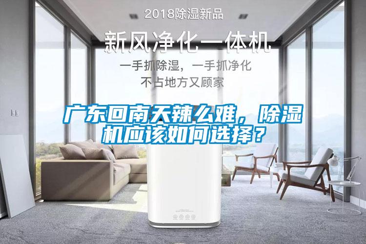 廣東回南天辣么難，除濕機應(yīng)該如何選擇？