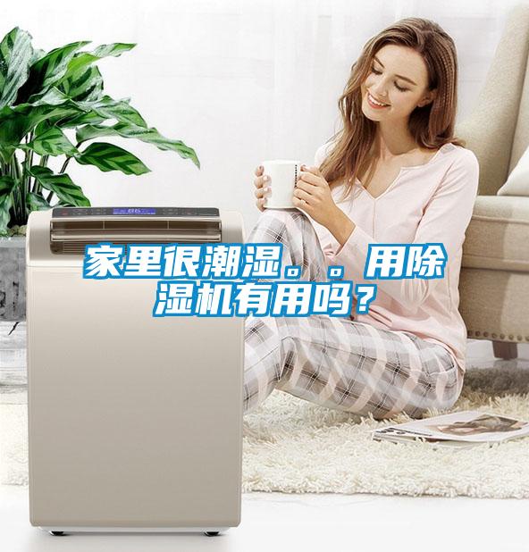 家里很潮濕。。用除濕機(jī)有用嗎？