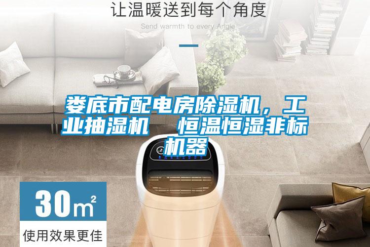 婁底市配電房除濕機(jī)，工業(yè)抽濕機(jī)  恒溫恒濕非標(biāo)機(jī)器