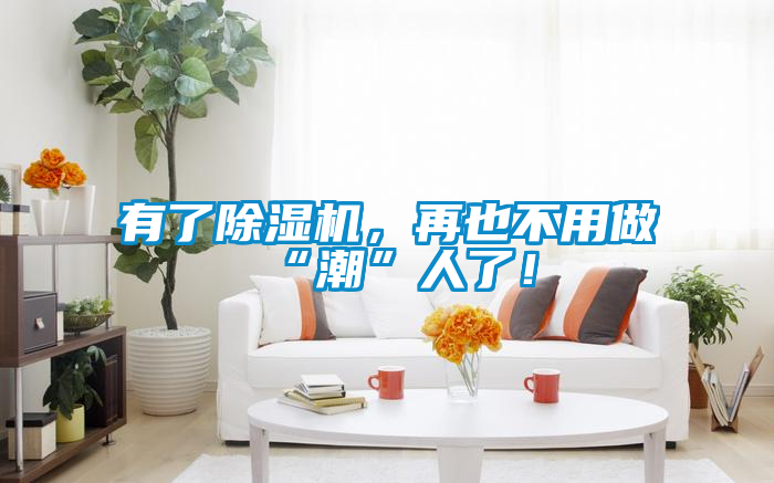 有了除濕機(jī)，再也不用做“潮”人了！