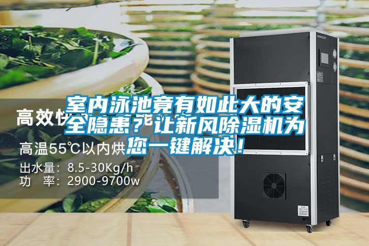 室內(nèi)泳池竟有如此大的安全隱患？讓新風(fēng)除濕機(jī)為您一鍵解決！