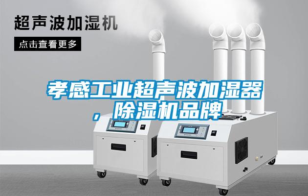 孝感工業(yè)超聲波加濕器，除濕機(jī)品牌