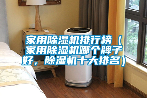 家用除濕機(jī)排行榜（家用除濕機(jī)哪個(gè)牌子好，除濕機(jī)十大排名）