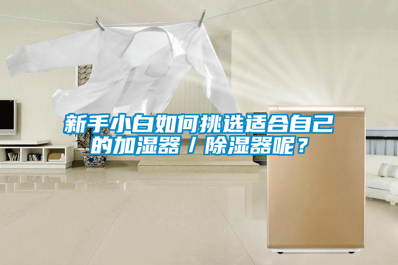 新手小白如何挑選適合自己的加濕器／除濕器呢？