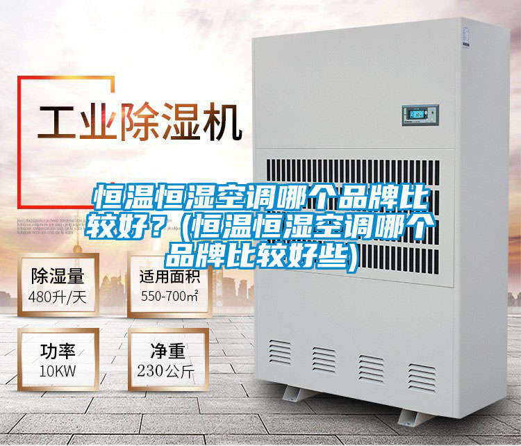 恒溫恒濕空調(diào)哪個(gè)品牌比較好？(恒溫恒濕空調(diào)哪個(gè)品牌比較好些)