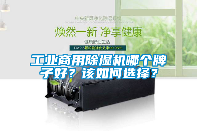 工業(yè)商用除濕機(jī)哪個牌子好？該如何選擇？