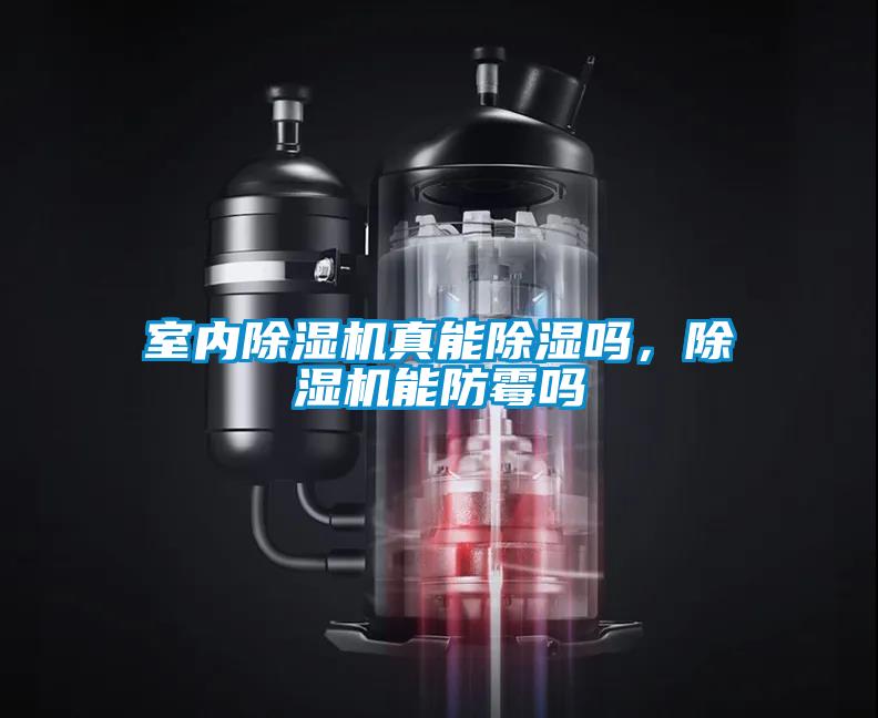 室內(nèi)除濕機真能除濕嗎，除濕機能防霉嗎