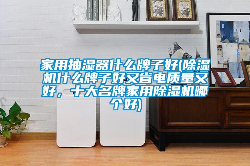 家用抽濕器什么牌子好(除濕機什么牌子好又省電質(zhì)量又好，十大名牌家用除濕機哪個好)