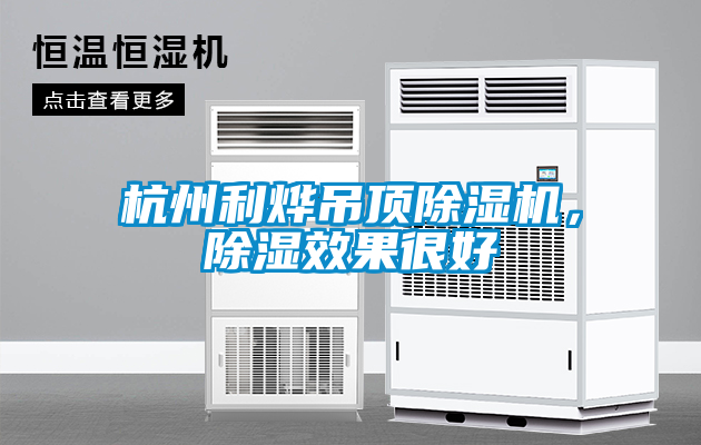 杭州利燁吊頂除濕機，除濕效果很好