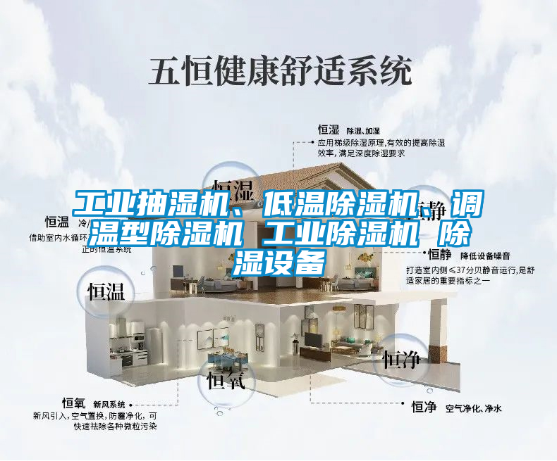 工業(yè)抽濕機、低溫除濕機、調(diào)溫型除濕機 工業(yè)除濕機 除濕設(shè)備