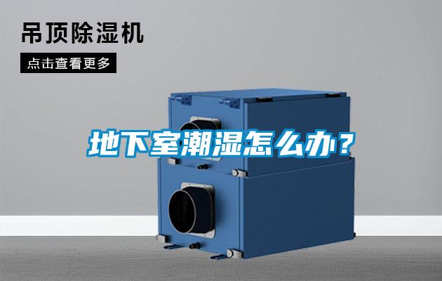 地下室潮濕怎么辦？