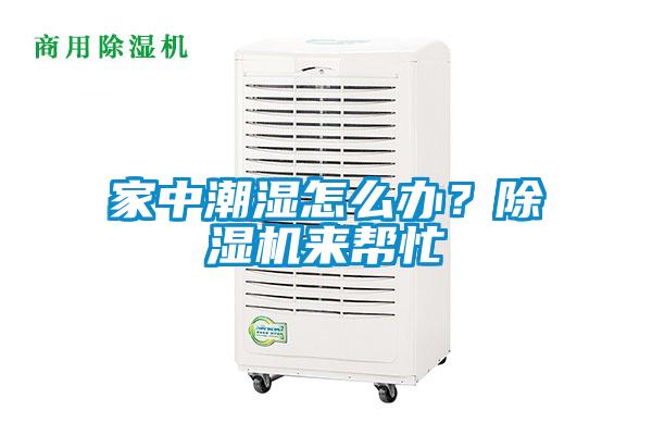 家中潮濕怎么辦？除濕機(jī)來(lái)幫忙